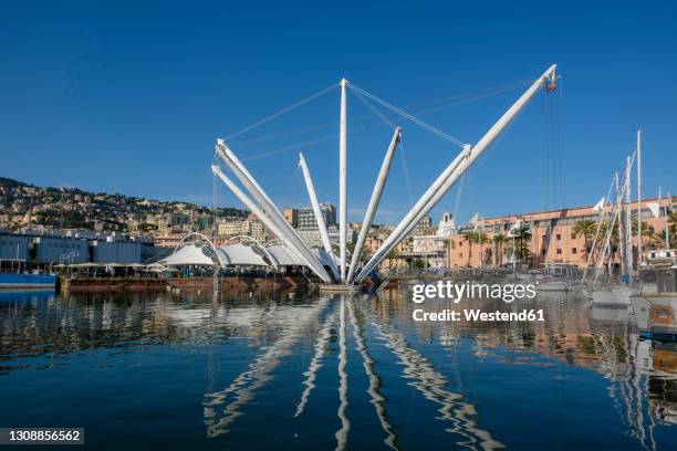 italy, liguria, genoa, crane in marina di porto antico - genova foto e immagini stock