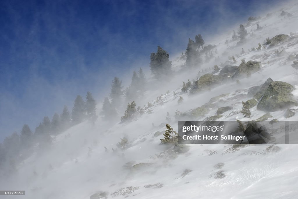 Gale-force winds blowing newly-fallen snow during a windstorm, Mt. Glungezer, Tirol, Austria, Europe