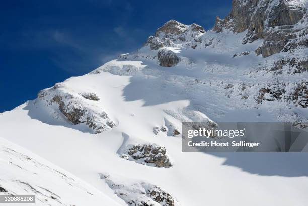 Alpine Zone Climate Zones By Altitude Photos and Premium High Res Pictures - Getty ...