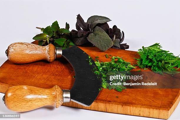 herbs, calamintha, cicely, salvia get cut with a mincing knife - calamintha stock pictures, royalty-free photos & images