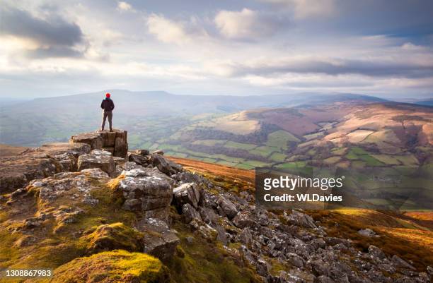brecon beacons landscape - idyllic landscape stock pictures, royalty-free photos & images
