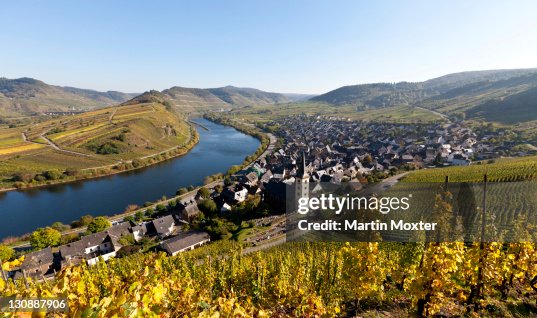 Overlooking Bremner with a Moselle bend, Landkreis Cochem-Zell district, Rhineland-Palatinate, Germany, Europe Overlooking Bremner with a Moselle bend, Landkreis Cochem-Zell district, Rhineland-Palatinate, Germany, Europe
