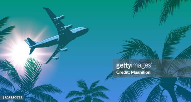 passenger airplane over palm trees and sun in the sky - low angle view of airplane stock illustrations