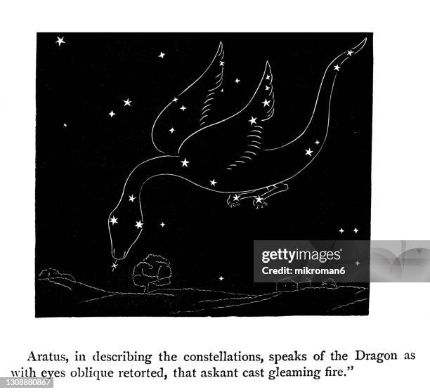 old engraved illustration of astronomy - draco constellation - draco the dragon constellation stock pictures, royalty-free photos & images