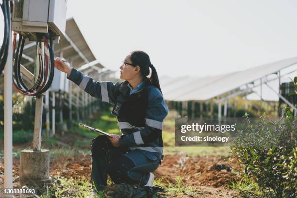 asian female engineer working with laptop at solar power station during sunset - solar farm stockfoto's en -beelden