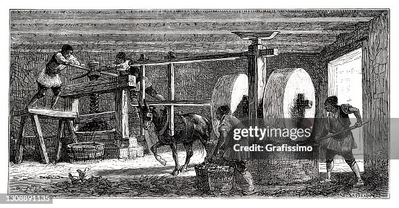 1877年在法國橄欖油廠工作的人 1877年在法國橄欖油廠工作的人