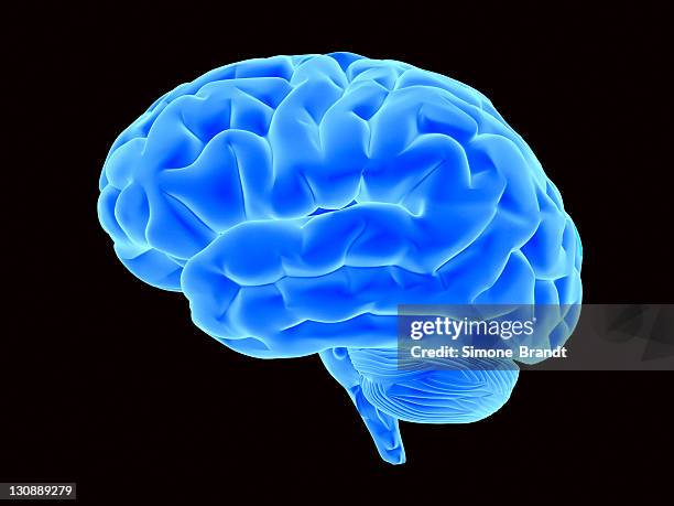 bright blue brain, 3d illustration - tridimensionale stock illustrations