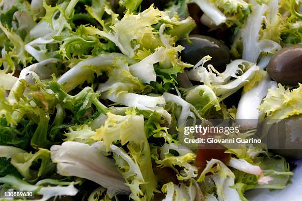 insalata di rinforzo, chicorium envidia salad, traditional christmas entree in naples, campania, italy - envidia stockfoto's en -beelden