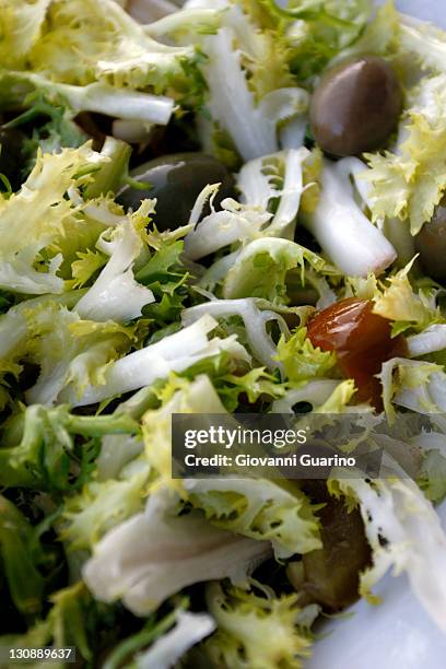 insalata di rinforzo, chicorium envidia salad, traditional christmas entree in naples, campania, italy - envidia stock pictures, royalty-free photos & images