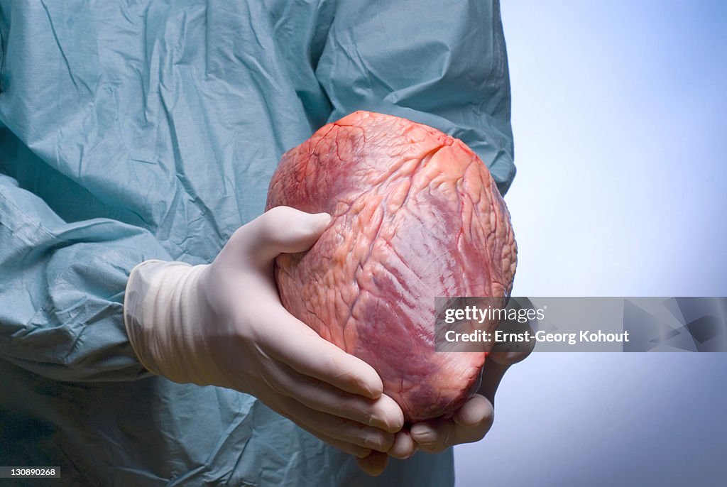 Surgeon holding a heart in his hands