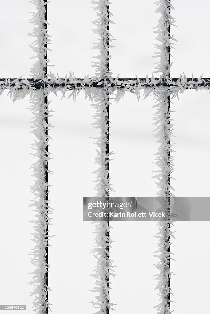 Extreme hoarfrost on an iron grill