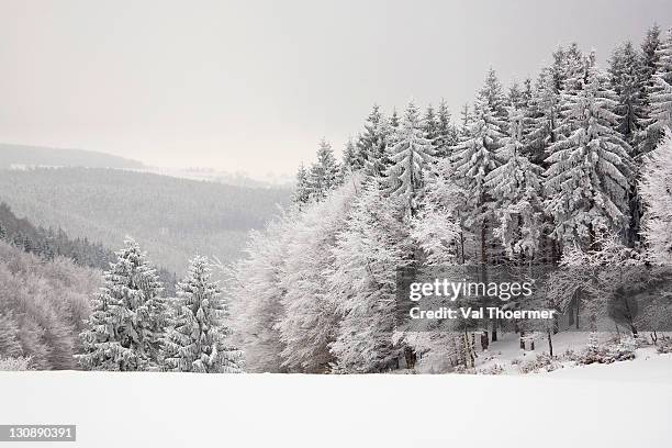 Thuringia Winter Thuringian Highland Photos and Premium High Res Pictures - Getty Images
