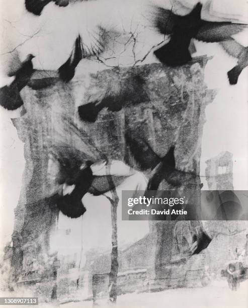 New York, NY A distorted image of birds flying in front of the Washington Square Arch in Washington Square Park, in March 1957 in Greenwich Village,...