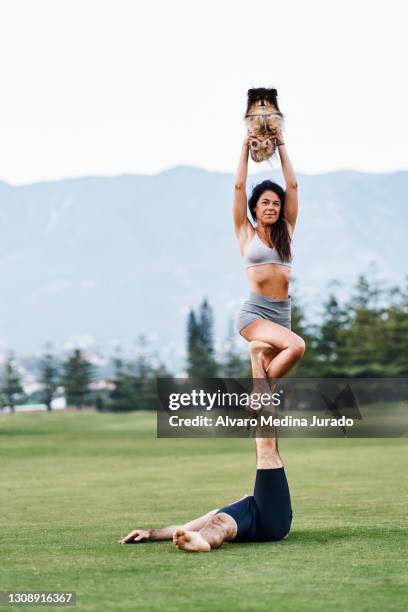 active couple with a dog performing acro yoga asana in nature - acroyoga stock pictures, royalty-free photos & images