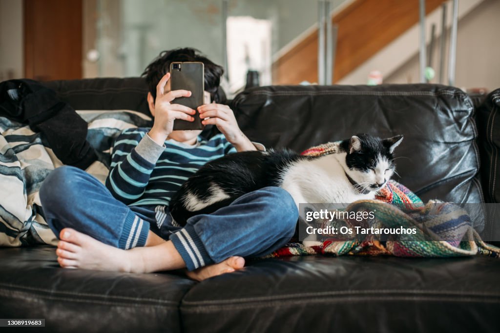 Boy looking at the smartphone while petting a cat