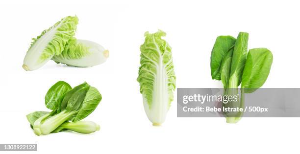 close-up of vegetable over white background - chinese cabbage stock pictures, royalty-free photos & images