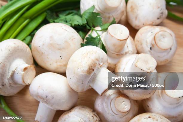 high angle view of mushrooms on table - portobello mushroom stock pictures, royalty-free photos & images