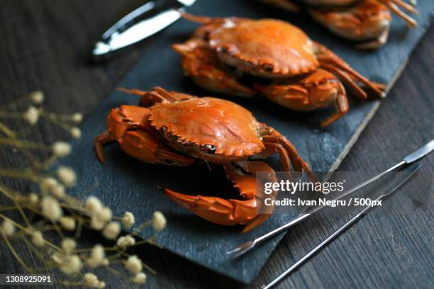 close-up of crab on table - crab seafood stock pictures, royalty-free photos & images