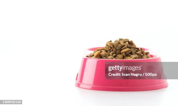 close-up of food in bowl against white background - cibo per cani foto e immagini stock