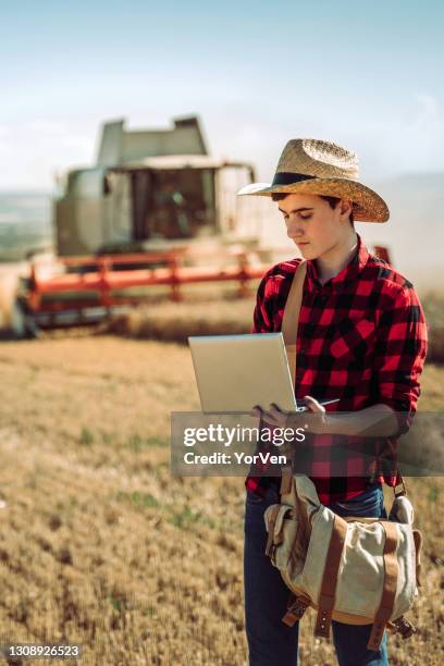 young farmer controlling harvest in his field, using laptop - young agronomist stock pictures, royalty-free photos & images
