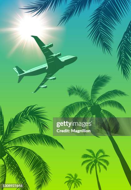 stockillustraties, clipart, cartoons en iconen met het vliegtuig van de passagier over palmen en zon in de hemel - sky and trees green leaf illustration