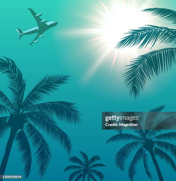 passenger airplane over palm trees and sun in the sky - low angle view of silhouette palm trees against sky stock illustrations