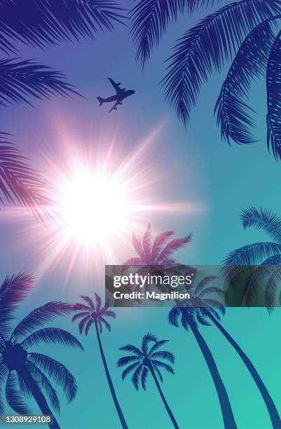 passagierflugzeug über palmen und sonne am himmel - low angle view of silhouette palm trees against sky stock-grafiken, -clipart, -cartoons und -symbole