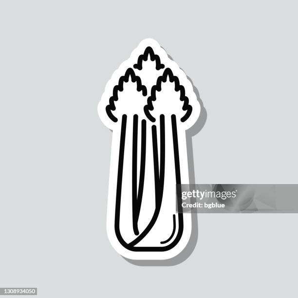 celery. icon sticker on gray background - celery isolated stock illustrations
