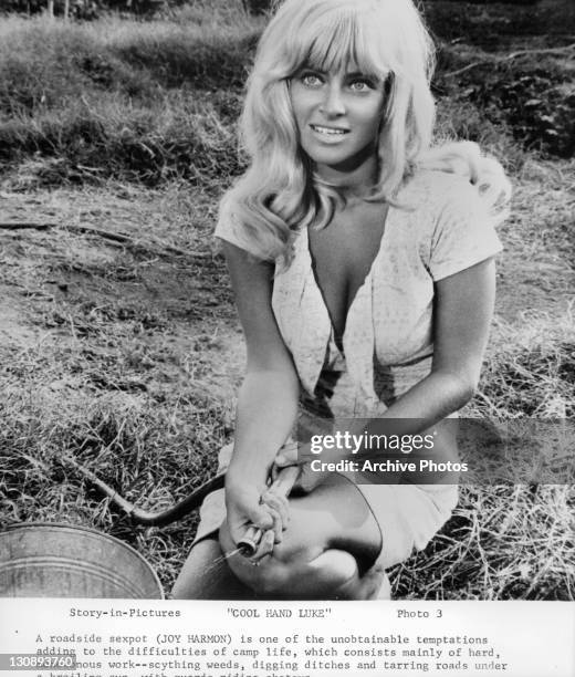 Joy Harmon waters lawn in a scene from the film 'Cool Hand Luke', 1967.