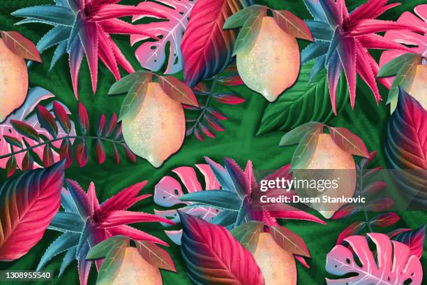 2 754点のレモン イラスト リアルのストックフォト Getty Images 2 754点のレモン イラスト リアルのストックフォト Getty Images