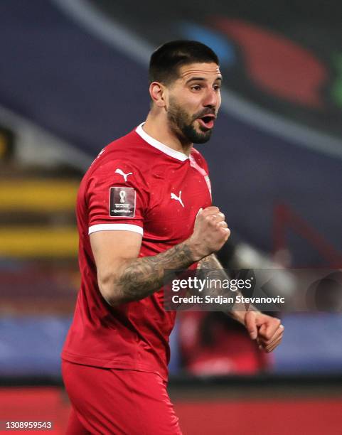 Aleksandar Mitrovic of Serbia celebrates after scoring his sides second goal during the FIFA World Cup 2022 Qatar qualifying match between Serbia and...