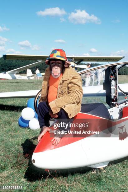 Charly, der Bruchpilot / Die Martins werden von einer Einladung Tinas überrascht. Ein neuer Segelflugplatz soll eingeweiht werden, und sie können...