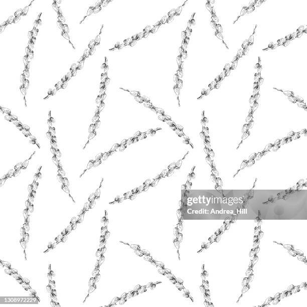 pussywillows ink drawing seamless pattern vector eps10 illustration - willow tree white background stock illustrations