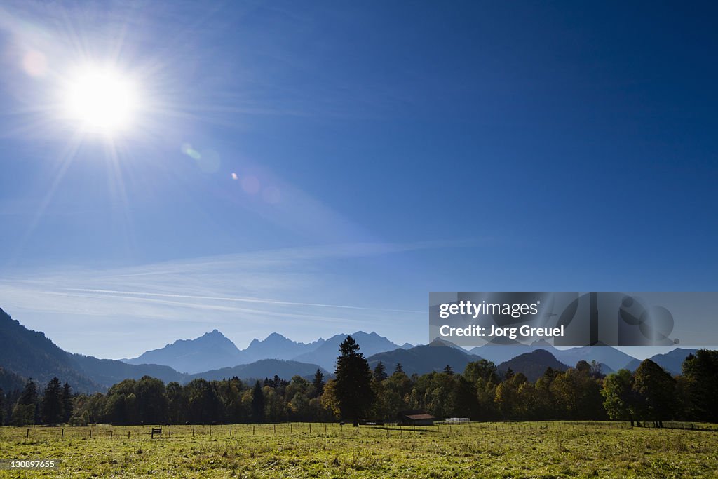 Sun over meadow