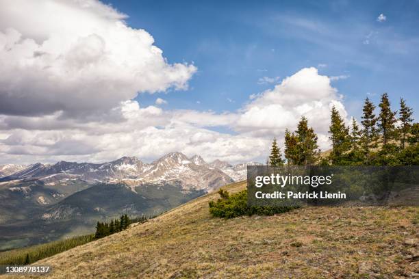landscape in the collegiate peak wilderness, colorado - buena vista stock pictures, royalty-free photos & images