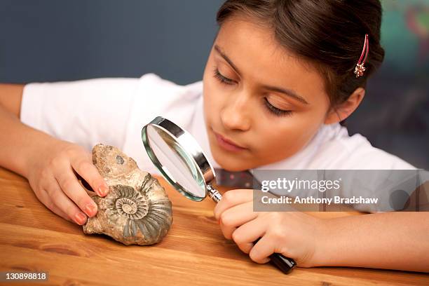 schoolgirl studies an ammonite fossil - amonite imagens e fotografias de stock