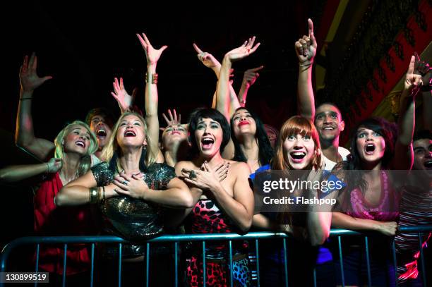 group of people at a music concert - popular music concert imagens e fotografias de stock
