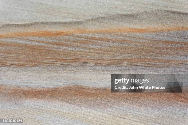 sandstone rocks at south cronulla beach. new south wales. australia. - sedimentary rock formation stock pictures, royalty-free photos & images