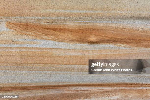 sandstone rocks at south cronulla beach. new south wales. australia. - sandstone stock pictures, royalty-free photos & images