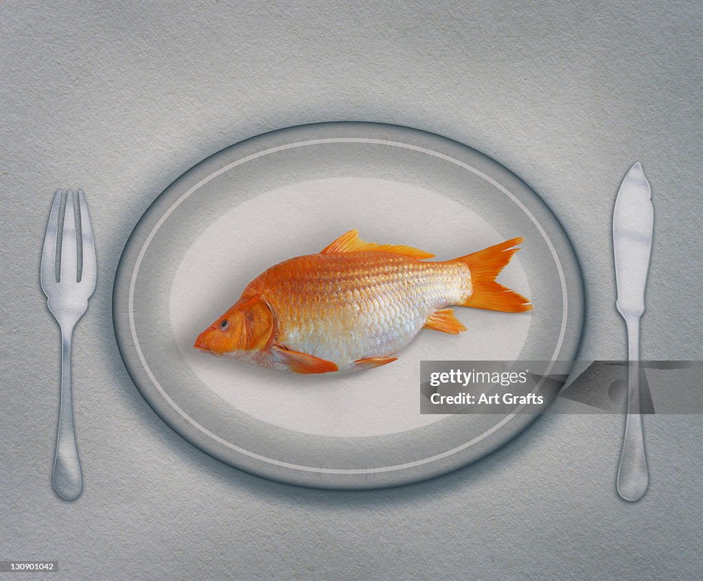 Fish Dish