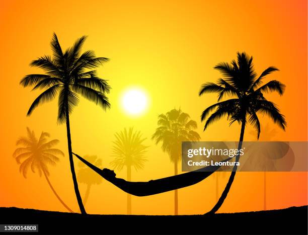 ruhende silhouette in den palmen mit einer hängematte - hammock-between-palm-trees stock-grafiken, -clipart, -cartoons und -symbole