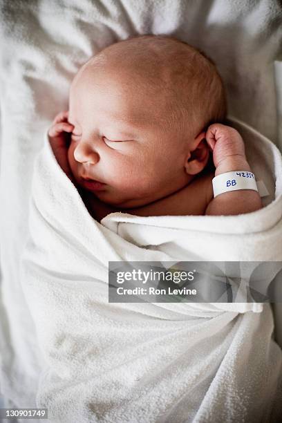 newborn baby boy, hands around head - name tag fotografías e imágenes de stock