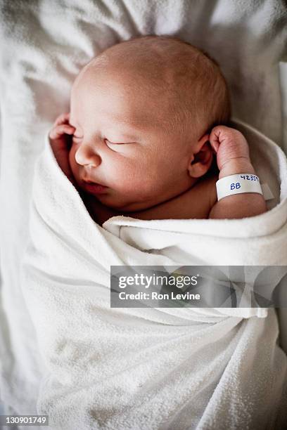 newborn baby boy, hands around head - name tag stock pictures, royalty-free photos & images
