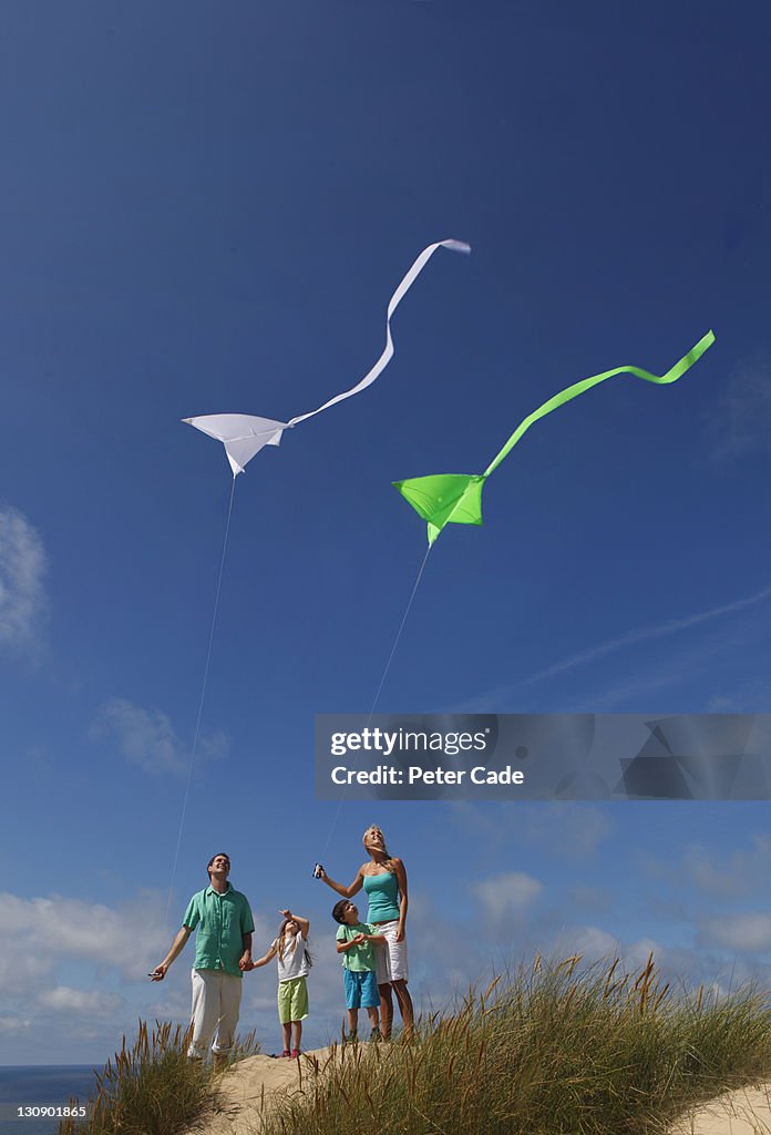 Family flying kites