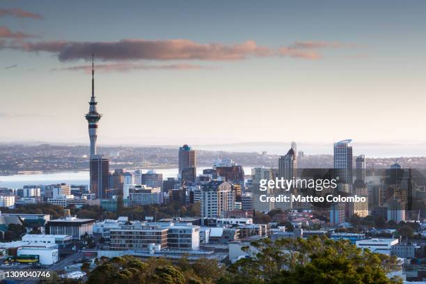 auckland city elevated viw at sunrise, new zealand - auckland stock pictures, royalty-free photos & images