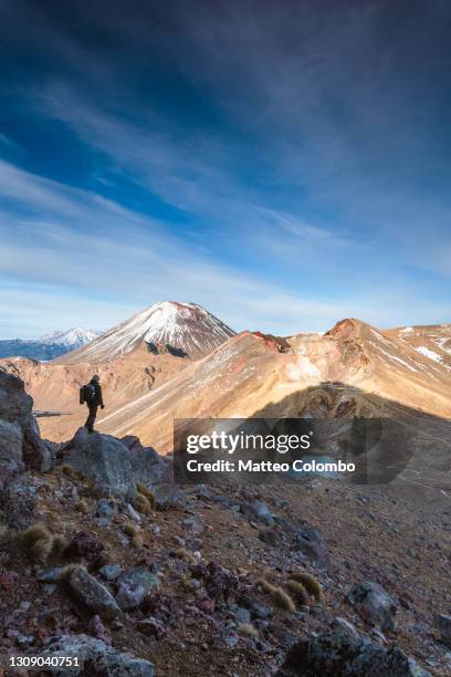 hiker in front of red crater, tongariro national park, new zealand - tongariro crossing stock pictures, royalty-free photos & images