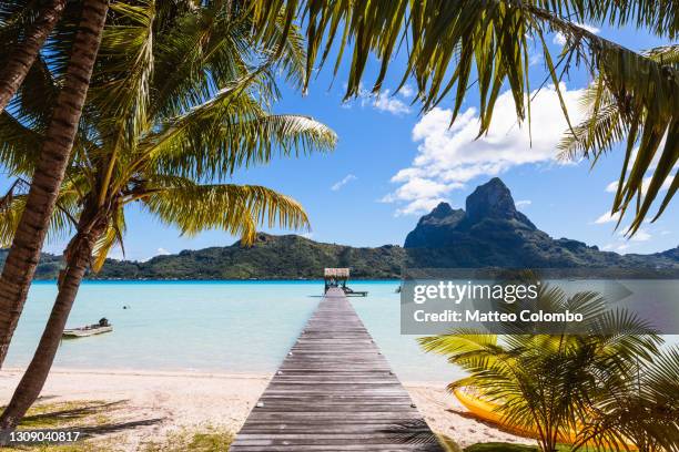 jetty and palm trees, bora bora, french polynesia - bora bora foto e immagini stock