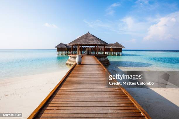 wooden jetty on a tropical island, maldives - malediven stockfoto's en -beelden