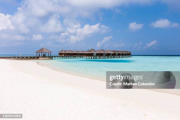 idyllic beach at sunrise, maldives - ari atoll stock-fotos und bilder