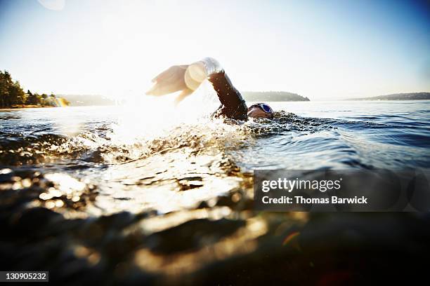 female triathlete swimming freestyle at sunrise - triathlon swim stock pictures, royalty-free photos & images